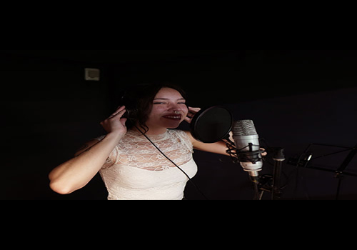 Vocalists and Bands